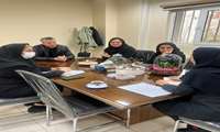 جلسه کمیته دایره امتحانات دانشکده داروسازی