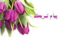 افتخارآفرینی دانشجویان ۲،۵٪ برتر  دانشکده داروسازی البرز در آزمون PhD داروسازی 